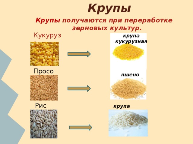 Крупы Крупы получаются при переработке зерновых культур. Кукуруза крупа кукурузная Просо  пшено Рис крупа рисовая 