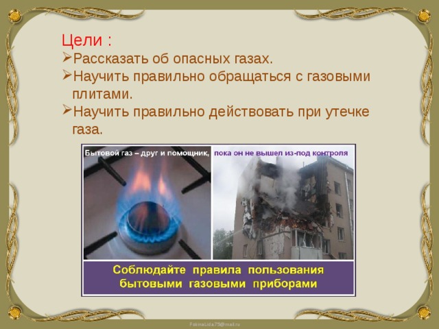 Цели : Рассказать об опасных газах. Научить правильно обращаться с газовыми плитами. Научить правильно действовать при утечке газа. 