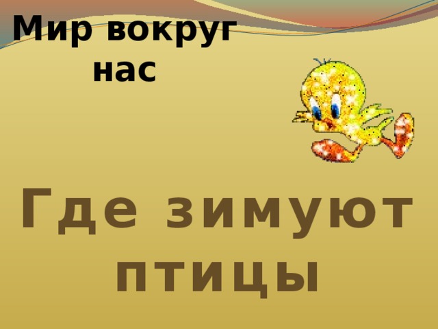 Мир вокруг нас Где зимуют птицы 