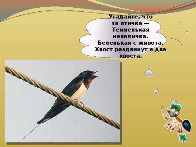 Угадайте, что за птичка —  Темненькая невеличка.  Беленькая с живота,  Хвост раздвинут в два хвоста.   