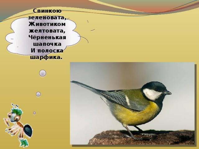  Спинкою зеленовата,  Животиком желтовата,  Чёрненькая шапочка  И полоска шарфика.    