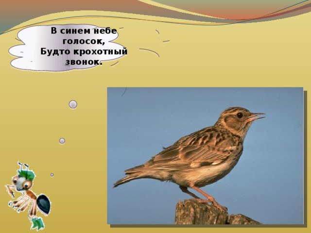  В синем небе голосок,  Будто крохотный звонок.    