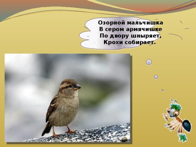  Озорной мальчишка  В сером армячишке  По двору шныряет,  Крохи собирает.     