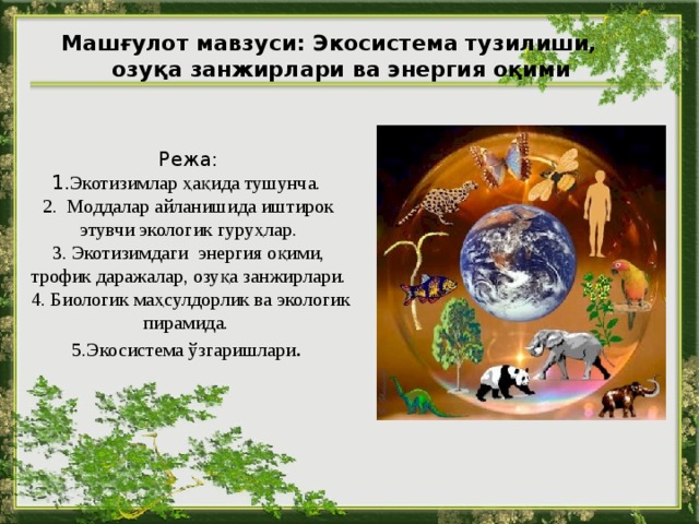 Машғулот мавзуси: Экосиcтема тузилиши, озуқа занжирлари ва энергия оқими Режа:  1. Экотизим лар ҳақида тушунча.  2. Моддалар айланишида иштирок этувчи экологик гуруҳлар.  3. Экотизимдаги энергия оқими, трофик даражалар, озуқа занжирлари.  4. Биологик маҳсулдорлик ва экологик пирамида.  5.Экосистема ўзгаришлари .  