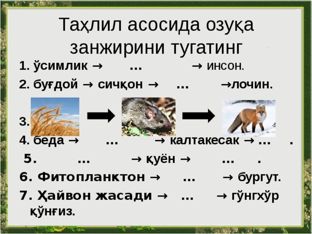 Таҳлил асосида озуқа занжирини тугатинг 1. ўсимлик  →  …  →  инсон. 2. буғдой → сичқон →  …  → лочин.  3. 4. беда →  …  → калтакесак →  … .  5. …  → қуён →  … . 6. Фитопланктон →  …  → бургут. 7. Ҳайвон жасади →  …  → гўнгхўр қўнғиз.  