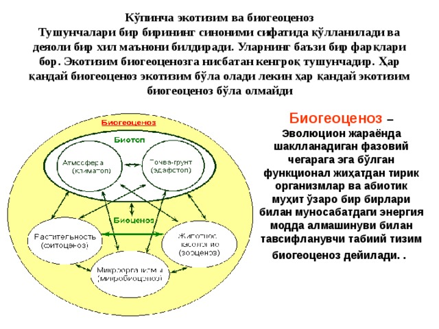 Кўпинча экотизим ва биогеоценоз Тушунчалари бир бирининг синоними сифатида қўлланилади ва деяоли бир хил маънони билдиради. Уларнинг баъзи бир фарқлари бор. Экотизим биогеоценозга нисбатан кенгроқ тушунчадир. Ҳар қандай биогеоценоз экотизим бўла олади лекин ҳар қандай экотизим биогеоценоз бўла олмайди Биогеоценоз – Эволюцион жараёнда шаклланадиган фазовий чегарага эга бўлган функционал жиҳатдан тирик организмлар ва абиотик муҳит ўзаро бир бирлари билан муносабатдаги энергия модда алмашинуви билан тавсифланувчи табиий тизим биогеоценоз дейилади.  .  