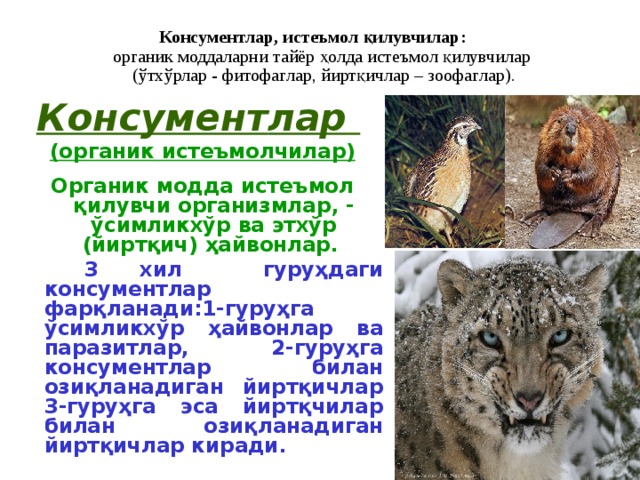 Консументлар, истеъмол қилувчилар :   органик моддаларни тайёр ҳолда истеъмол қилувчилар   ( ўтхўрлар - фитофаг лар , йиртқичлар – зоофаг лар ). Консумент лар   (органик истеъмолчилар )  Органик модда истеъмол қилувчи организмлар , - ўсимликхўр ва этхўр ( йиртқич ) ҳайвонлар .   3 хил гуруҳдаги консументлар фарқланади : 1-гуруҳга ўсимликхўр ҳайвонлар ва паразитлар , 2-гуруҳга консументлар билан озиқланадиган йиртқичлар 3-гуруҳга эса йиртқчилар билан озиқланадиган йиртқичлар киради. 