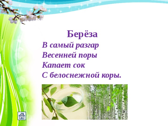 Берёза В самый разгар  Весенней поры  Капает сок  С белоснежной коры. 