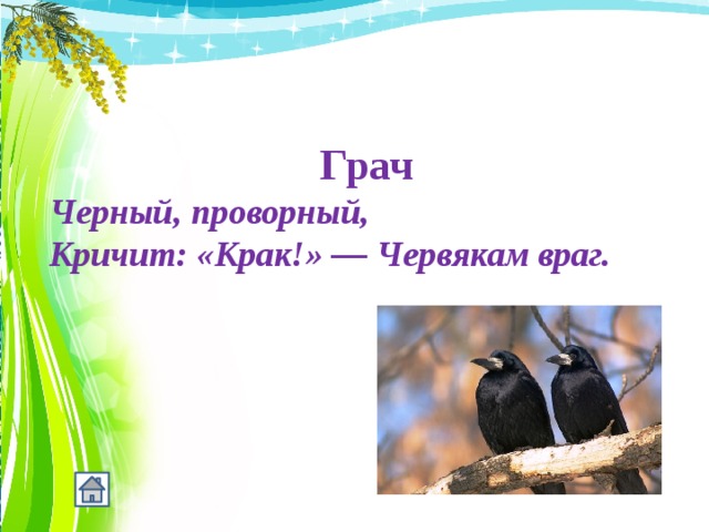 Грач Черный, проворный,  Кричит: «Крак!» — Червякам враг. 