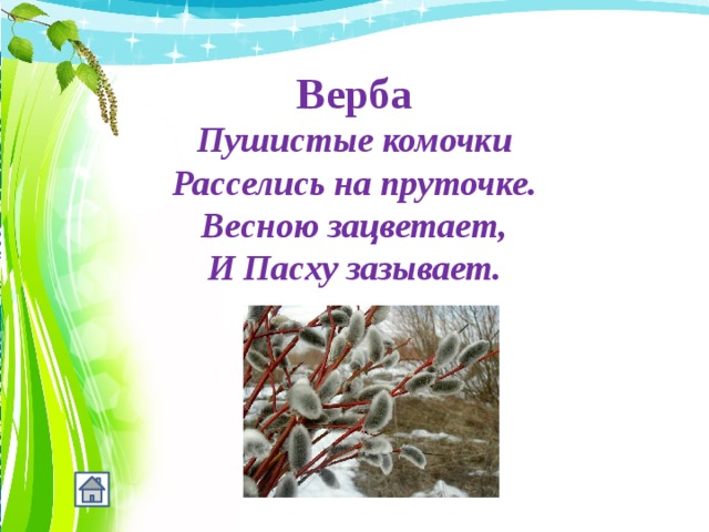 Верба Пушистые комочки  Расселись на пруточке.  Весною зацветает,  И Пасху зазывает. 