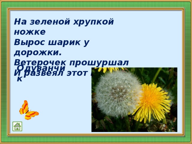 На зеленой хрупкой ножке  Вырос шарик у дорожки.   Ветерочек прошуршал  И развеял этот шар.    Одуванчик 