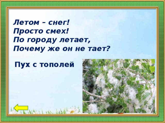 Летом – снег! Просто смех! По городу летает, Почему же он не тает?   Пух с тополей 