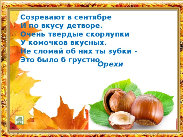 Созревают в сентябре И по вкусу детворе. Очень твердые скорлупки У комочков вкусных. Не сломай об них ты зубки - Это было б грустно. Орехи  