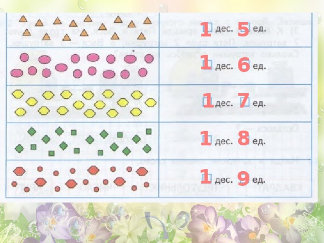 1 5 1 6 1 7 1 8 1 9 