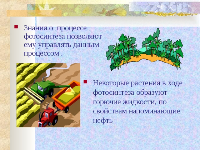 Знания о процессе фотосинтеза позволяют ему управлять данным процессом .   Некоторые растения в ходе фотосинтеза образуют горючие жидкости, по свойствам напоминающие нефть