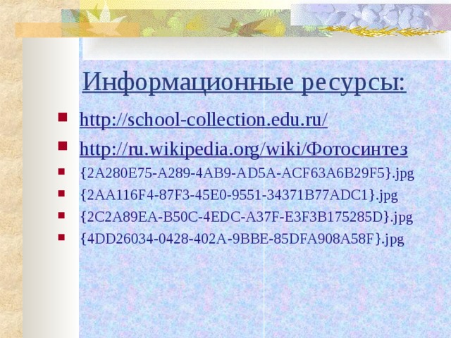 Информационные ресурсы: