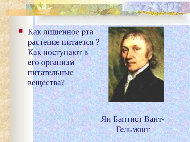 Как лишенное рта растение питается ? Как поступают в его организм питательные вещества?
