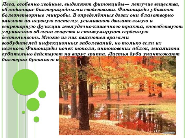 Леса, особенно хвойные, выделяют фитонциды— летучие вещества, обладающие бактерицидными свойствами. Фитонциды убивают болезнетворные микробы. В определённых дозах они благотворно влияют на нервную систему, усиливают двигательную и секреторную функции желудочно-кишечного тракта, способствуют улучшению обмена веществ и стимулируют сердечную деятельность. Многие из них являются врагами возбудителей инфекционных заболеваний, но только если их немного. Фитонциды почек тополя, антоновских яблок, эвкалипта губительно действуют на вирус гриппа. Листья дуба уничтожают бактерии брюшного тифа и дизентерии.  
