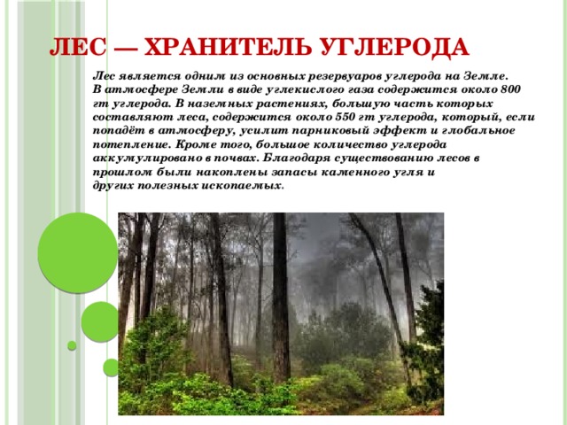 Лес — хранитель углерода   Лес является одним из основных резервуаров углерода на Земле. В атмосфере Земли в виде углекислого газа содержится около 800 гт углерода. В наземных растениях, большую часть которых составляют леса, содержится около 550 гт углерода, который, если попадёт в атмосферу, усилит парниковый эффект и глобальное потепление. Кроме того, большое количество углерода аккумулировано в почвах. Благодаря существованию лесов в прошлом были накоплены запасы каменного угля и других полезных ископаемых . 