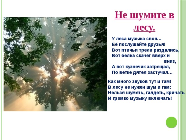 Не шумите в лесу.  У леса музыка своя…  Её послушайте друзья!  Вот птичьи трели раздались,  Вот белка скачет вверх и  вниз,  А вот кузнечик затрещал,  По ветке дятел застучал… Как много звуков тут и там! В лесу не нужен шум и гам: Нельзя шуметь, галдеть, кричать И громко музыку включать! 