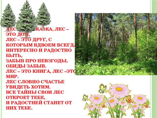 Лес – это сказка, лес – это дом,  Лес – это друг, с которым вдвоем всегда интересно и радостно быть,  Забыв про невзгоды, обиды забыв.  Лес – это книга, лес –это мир.  Лес словно счастье увидеть хотим.  Все тайны свои лес откроет тебе,  И радостней станет от них тебе. 