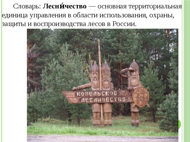 Словарь: Лесни́чество  — основная территориальная единица управления в области использования, охраны, защиты и воспроизводства лесов в России. 