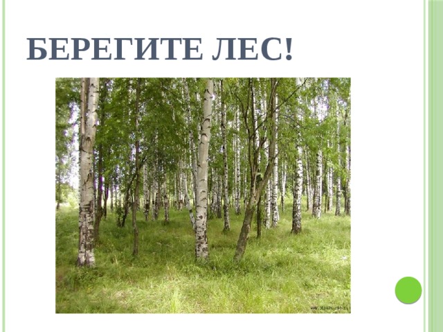 Берегите лес! 