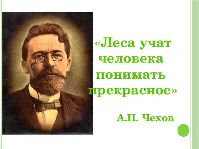 «Леса учат человека понимать прекрасное» А.П. Чехов 
