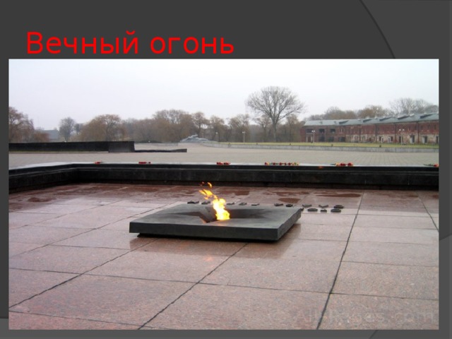 Вечный огонь 