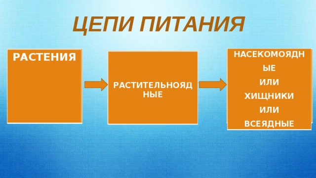 ЦЕПИ ПИТАНИЯ НАСЕКОМОЯДНЫЕ ИЛИ ХИЩНИКИ ИЛИ ВСЕЯДНЫЕ РАСТЕНИЯ    РАСТИТЕЛЬНОЯДНЫЕ 