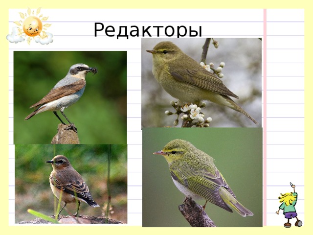 Редакторы 