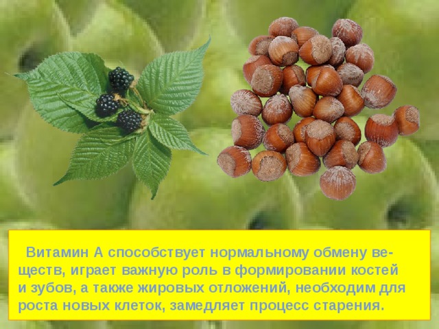  Витамин А способствует нормальному обмену ве- ществ, играет важную роль в формировании костей и зубов, а также жировых отложений, необходим для роста новых клеток, замедляет процесс старения. 