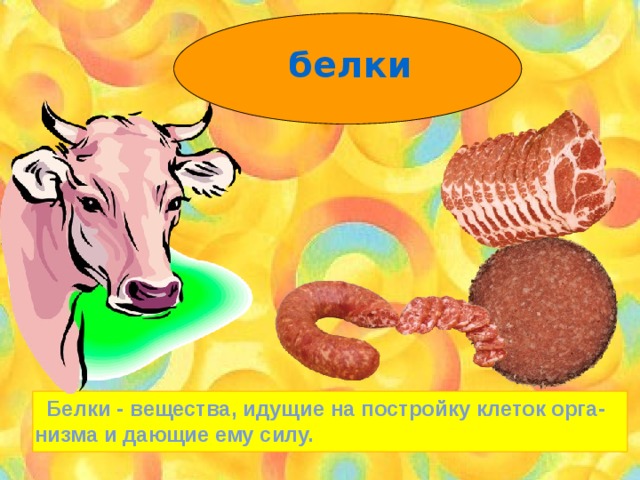 белки  Белки - вещества, идущие на постройку клеток орга- низма и дающие ему силу. 
