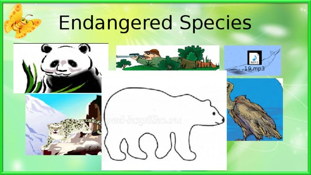 Endangered Species 