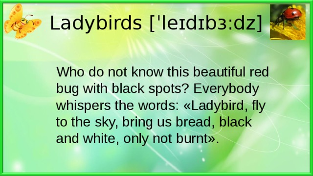 Ladybirds  [ˈleɪdɪbɜ:dz] Who do not know this beautiful red bug with black spots? Everybody whispers the words: «Ladybird, fly to the sky, bring us bread, black and white, only not burnt». 