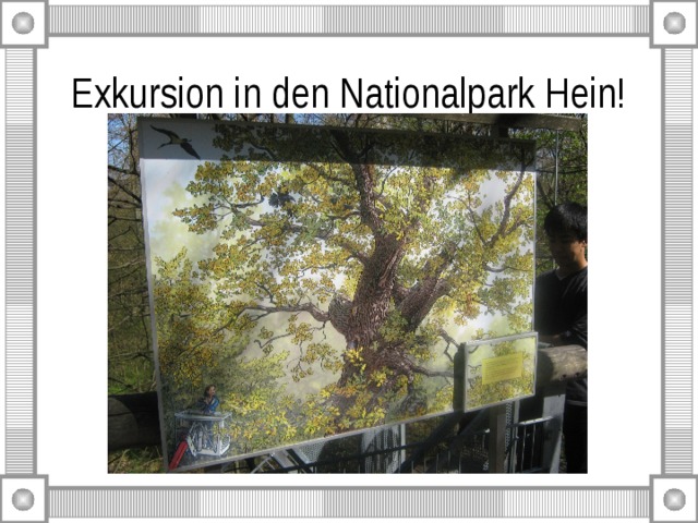 Exkursion in den Nationalpark Hein! 