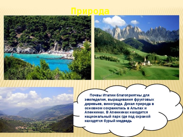 Природа  Почвы Италии благоприятны для земледелия, выращивания фруктовых деревьев, винограда. Дикая природа в основном сохранилась в Альпах и Апеннинах. В Апеннинах находится национальный парк где под охраной находятся бурый медведь 