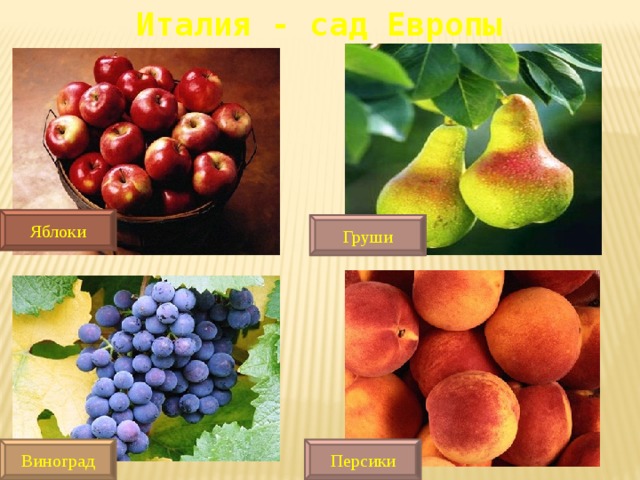 Италия - сад Европы Яблоки Груши Виноград Персики 