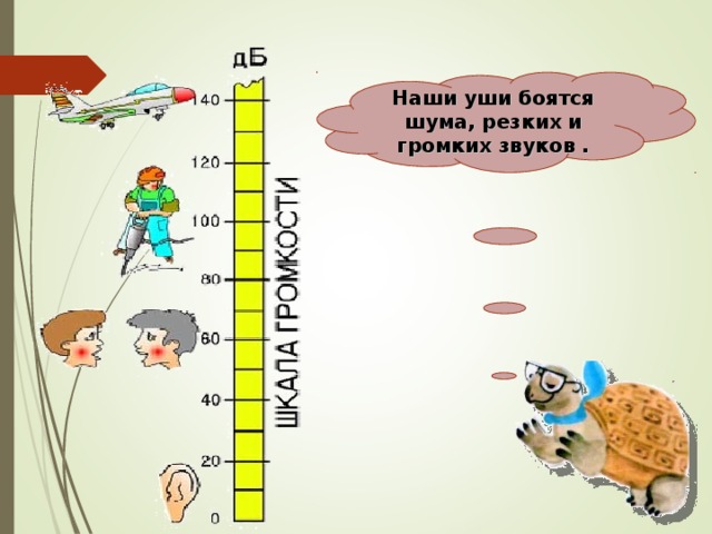  Наши уши боятся шума, резких и громких звуков .    