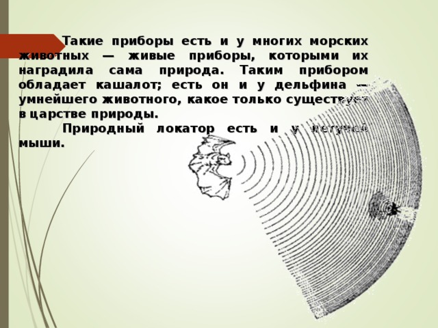  Такие приборы есть и у многих морских животных — живые приборы, которыми их наградила сама природа. Таким прибором обладает кашалот; есть он и у дельфина — умнейшего животного, какое только существует в царстве природы.  Природный локатор есть и у летучей мыши.   