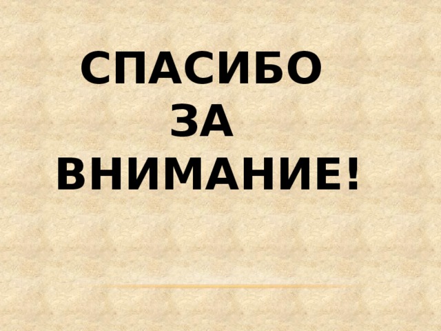 СПАСИБО ЗА ВНИМАНИЕ! 