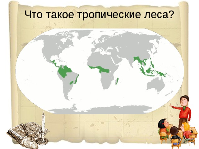 Что такое тропические леса? 