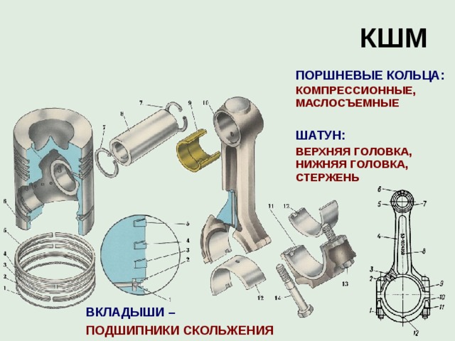 КШМ  ПОРШНЕВЫЕ КОЛЬЦА:  КОМПРЕССИОННЫЕ, МАСЛОСЪЕМНЫЕ   ШАТУН:  ВЕРХНЯЯ ГОЛОВКА, НИЖНЯЯ ГОЛОВКА, СТЕРЖЕНЬ  ВКЛАДЫШИ –  ПОДШИПНИКИ СКОЛЬЖЕНИЯ 