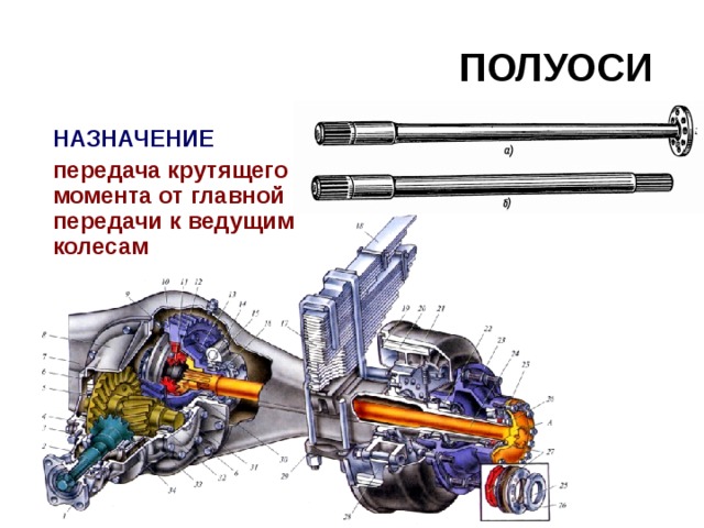 ПОЛУОСИ   НАЗНАЧЕНИЕ  передача крутящего момента от главной передачи к ведущим колесам 