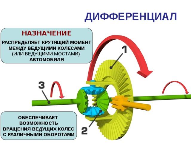 ДИФФЕРЕНЦИАЛ  НАЗНАЧЕНИЕ  РАСПРЕДЕЛЯЕТ КРУТЯЩИЙ МОМЕНТ МЕЖДУ ВЕДУЩИМИ КОЛЕСАМИ (ИЛИ ВЕДУЩИМИ МОСТАМИ) АВТОМОБИЛЯ ОБЕСПЕЧИВАЕТ ВОЗМОЖНОСТЬ ВРАЩЕНИЯ ВЕДУЩИХ КОЛЕС С РАЗЛИЧНЫМИ ОБОРОТАМИ 