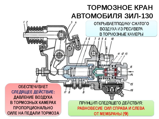 ТОРМОЗНОЕ КРАН  АВТОМОБИЛЯ ЗИЛ-130 ОТКРЫВАЕТПОДАЧУ СЖАТОГО ВОЗДУХА ИЗ РЕСИВЕРА В ТОРМОЗНЫЕ КАМЕРЫ ОБЕСПЕЧИВАЕТ СЛЕДЯЩЕЕ ДЕЙСТВИЕ: ДАВЛЕНИЕ ВОЗДУХА В ТОРМОЗНЫХ КАМЕРАХ ПРОПОРЦИОНАЛЬНО СИЛЕ НА ПЕДАЛИ ТОРМОЗА ПРИНЦИП СЛЕДЯЩЕГО ДЕЙСТВИЯ: РАВНОВЕСИЕ СИЛ СПРАВА И СЛЕВА ОТ МЕМБРАНЫ ( 9 ) 