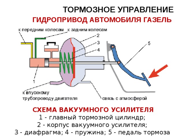 ТОРМОЗНОЕ УПРАВЛЕНИЕ  ГИДРОПРИВОД АВТОМОБИЛЯ ГАЗЕЛЬ  Схема вакуумного усилителя 1 - главный тормозной цилиндр; 2 - корпус вакуумного усилителя; 3 - диафрагма; 4 - пружина; 5 - педаль тормоза  