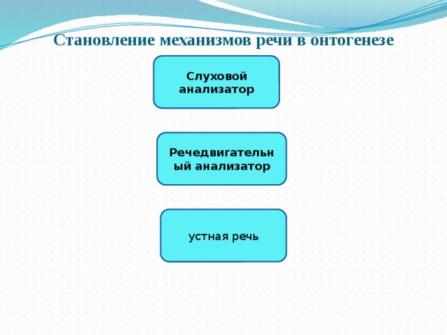 Становление механизмов речи в онтогенезе Слуховой анализатор Речедвигательный анализатор устная речь 