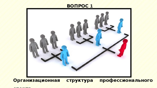 ВОПРОС 1 Организационная структура профессионального спорта 