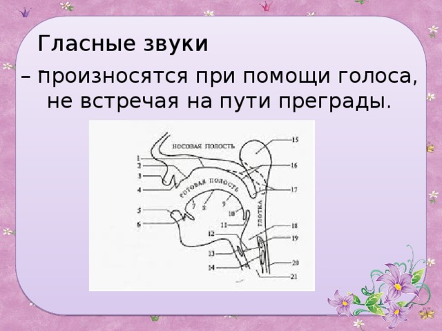 Гласные звуки - – произносятся при помощи голоса, не встречая на пути преграды.   